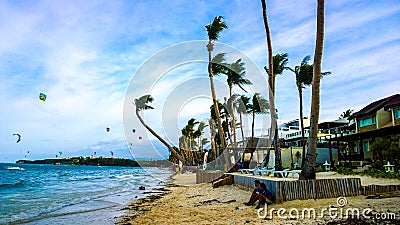 Sandy beach, blue sea, waves and palm trees bendable by flows strong sea wind. Editorial Stock Photo