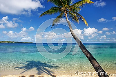 Sandy beach and leaning palm tree on Drawaqa Island, Yasawa Islands, Fiji Stock Photo