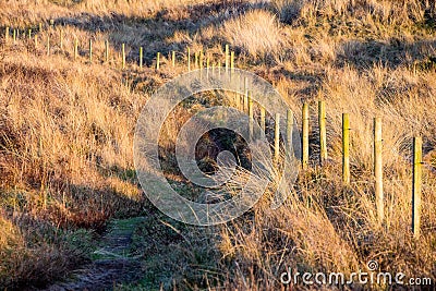 Sandy beach at Sandscale Haws Stock Photo