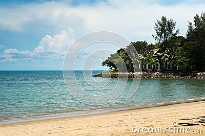 Sandy beach with trees and ocean in the distance Stock Photo