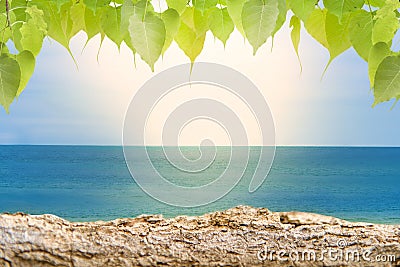 Sandy beaches with logs and foliage, tropical bokeh beach backgrounds , summer vacations and travel ideas Stock Photo