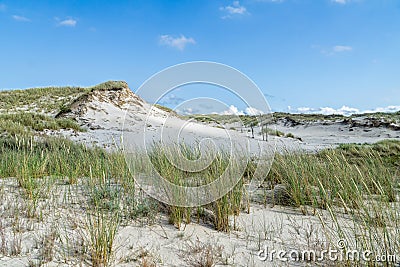 Sandy dunes overgrown by clumps of grass and blue sky with white clouds in sunny summer day. Lacka dune near Leba. Stock Photo