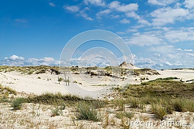 Sandy dunes overgrown by clumps of grass and blue sky with white clouds in sunny summer day. Lacka dune Near Leba. Stock Photo