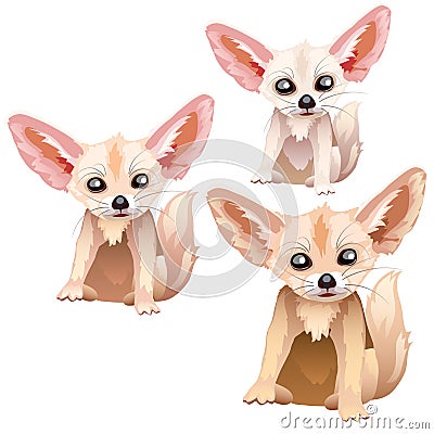 Sandy foxes of different ages, stages of growth Vector Illustration