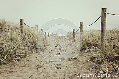 A Sandy Pathway Winds its way toward the Sea Stock Photo