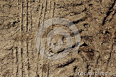 Sandy ground close up. footprint and tire texture Stock Photo