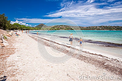 Sandy Palombaggia beach with pine trees and azure clear water on Corsica Editorial Stock Photo