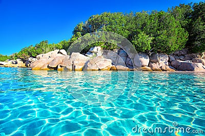 Sandy Palombaggia beach with pine trees and azure clear water, Corsica, France Stock Photo