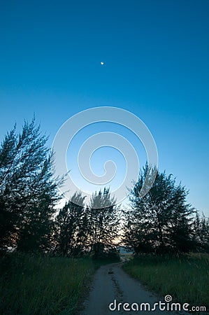 Sandy Path Stock Photo