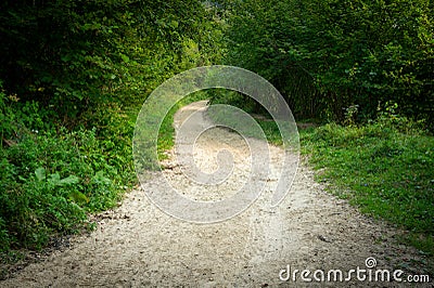 Sandy path through green shrubs Stock Photo