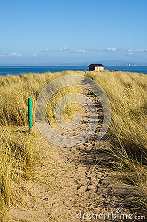 Sandy path through Marram Grass Stock Photo