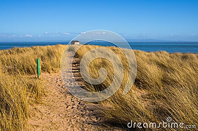 Sandy path through Marram Grass Stock Photo