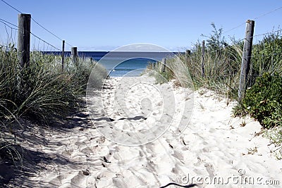 Sandy Path to the Beach Stock Photo