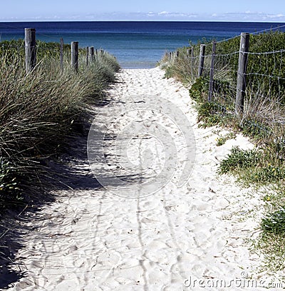 Sandy Path to the Beach Stock Photo