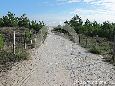 Sandy path way access in sand dune beach in Verdon-sur-mer Medoc in France Stock Photo