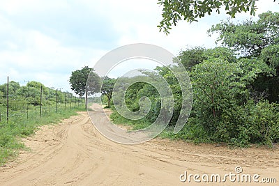 Sandy road in the African Bushveld Stock Photo