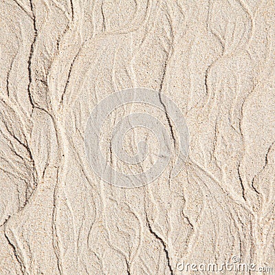 Sandy shore background Stock Photo