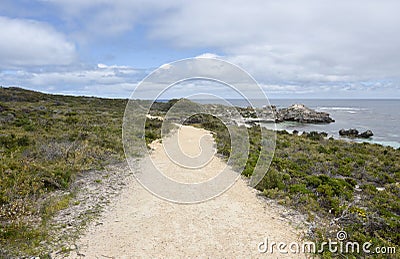 Sandy Shoreline Path Stock Photo