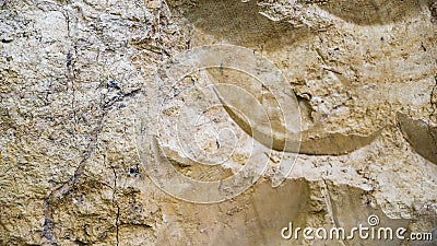 Sandy soil, yellow clay, cut of soil, layers of earth, career, banner, format 16x9 with copy space for text Stock Photo