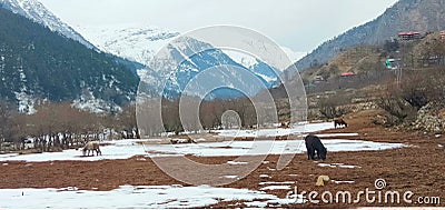 Sangla valley during winters scenic view Stock Photo