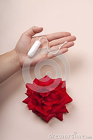 A sanitary tampon in a woman`s hand next to a red rose on a pink background Feminine hygiene. Stock Photo