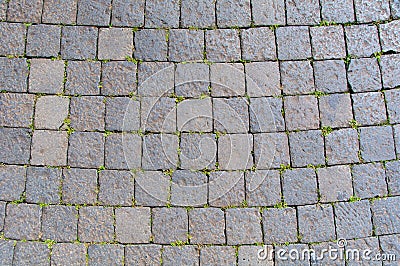 Sanpietrini, typical Rome pavement, Italy Stock Photo