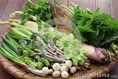 Sansai, japanese edible wild plants vegetables Stock Photo