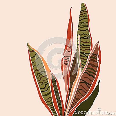 Sansevieria plant in a minimalist trendy style. Silhouette of a plant. Vector illustration collage Vector Illustration