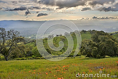 Santa Clara Valley from Joseph D. Grant Country Park, Santa Clara County, California, USA Stock Photo