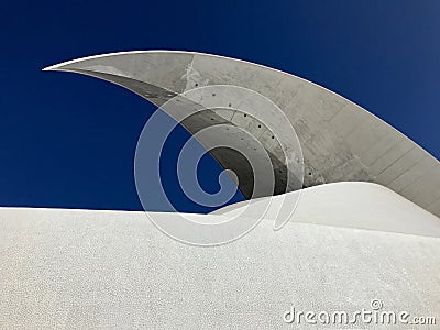 Auditorium in Santa Cruz the Tenerife Editorial Stock Photo