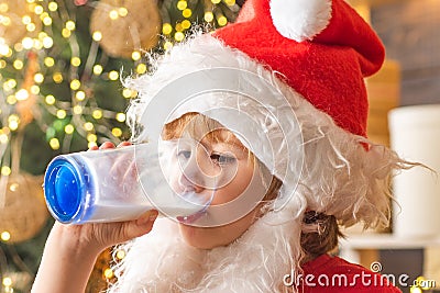 Santa holding cookie and glass of milk on Christmas tree background. Cookies for Santa Claus child. Milk and gingerbread Stock Photo