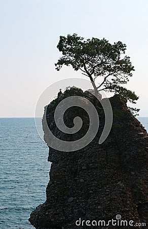 The Rock of Cadrega, Santa Margherita Ligure, Genoa, Liguria, Italy, Italian Riviera, Europe Stock Photo