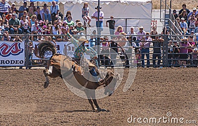 Cowboy on wild horse at Rodeo Santa Maria, CA, USA Editorial Stock Photo