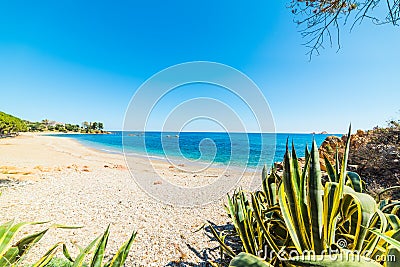 Santa Maria Navarrese shoreline in springtime Stock Photo