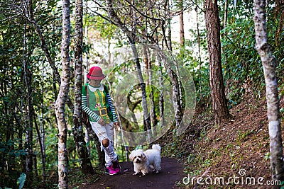 Santa women walking in forest with dog Stock Photo