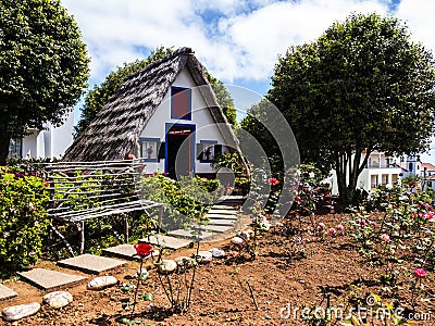 Santana in Madeira is a beautiful village on the north coast. is known by its small thatched triangular houses. Dragon Trees and f Editorial Stock Photo