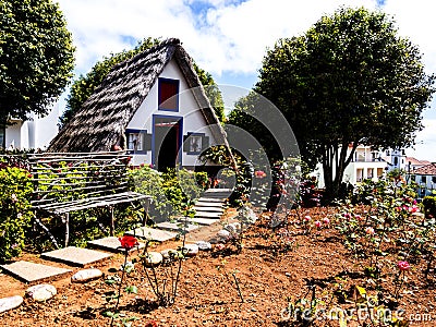 Santana in Madeira is a beautiful village on the north coast. is known by its small thatched triangular houses. Dragon Trees and f Editorial Stock Photo