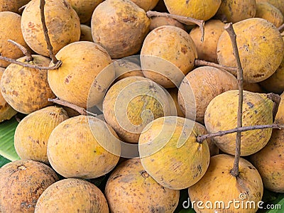 Santol shop. Stock Photo