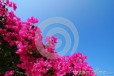 Santorini Greece Stock Photo