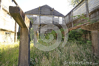 Santuario Naturaleza, Valdivia South America Stock Photo