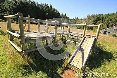 Santuario Naturaleza, Valdivia South America Stock Photo