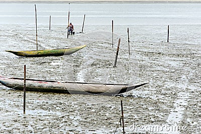 Shellfish gatherers in search of curstaceans for financial support and food for their family. Sao Francisco do Conde, Bahia, Editorial Stock Photo