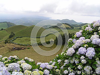 Sao Miguel, Azores Stock Photo