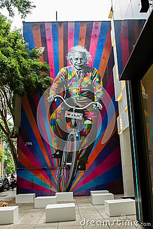 Sao Paulo Einstein Graffiti Editorial Stock Photo