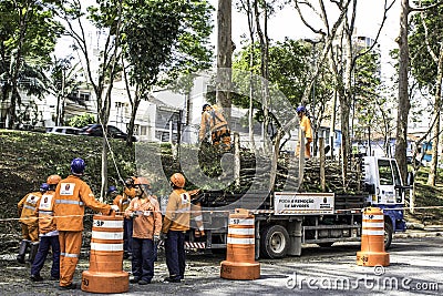 Municipality workers take the pruning of tree removal in Sao Paulo Editorial Stock Photo