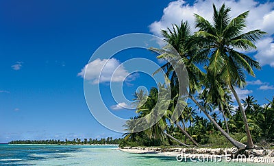 Saona island Stock Photo