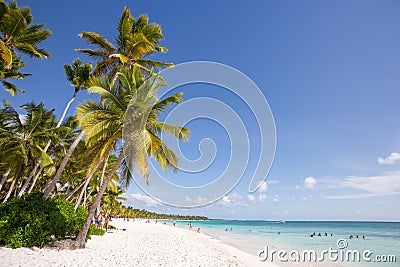 Saona Island in Punta Cana, Dominican Republic. Editorial Stock Photo