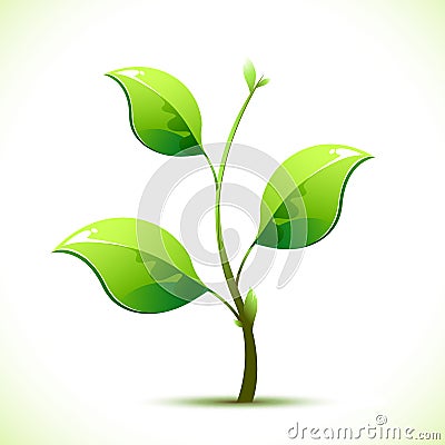 Sapling Vector Illustration