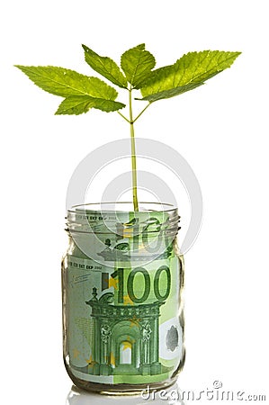 Sapling growing from euro bill Stock Photo