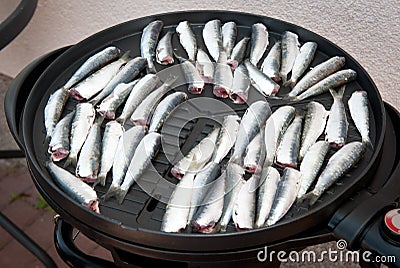 Sardines on grill. Electric grill. BBQ season. Summer grilling. Stock Photo